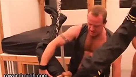 Free Rough Bear Gay Porn Videos XHamster