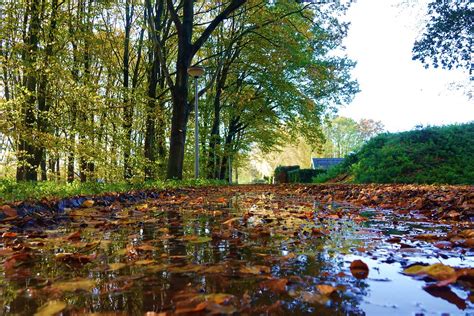 Goes Door Arjan Van Lomwel Goes Herfstkleuren Omroep Zeeland Flickr