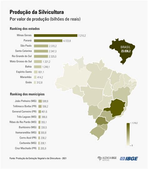 Valor De Produ O Da Silvicultura E Da Extra O Vegetal Cresce E