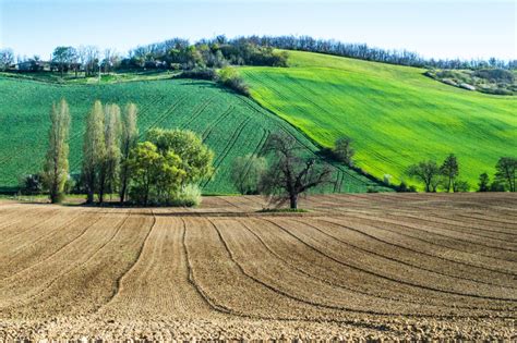 Farm landscape with trees image - Free stock photo - Public Domain ...