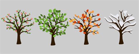 Tree In Four Season Graphic Design Pink Blossom Orange Leaves White