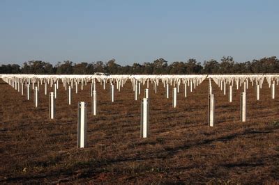 Nyngan Solar Farm