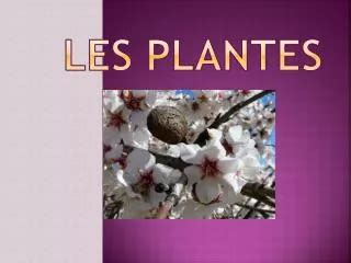 PPT Reproduction Chez Les Plantes PowerPoint Presentation Free