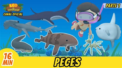 Peces Episodio Compilación Parte 1 2 Español Leo El Explorador