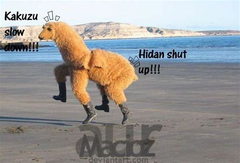 Dancing Llama xD by Maciozaur on DeviantArt