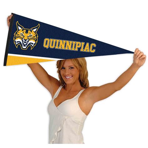 Quinnipiac University Logo Pennant - State Street Products