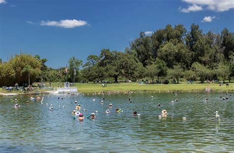 Discover Natural Sarasota Warm Mineral Springs Srq Daily Oct 19 2023