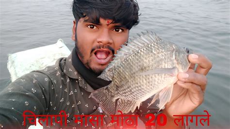 बडा खेकडा फिश आणि चिलापी मासा मोठा 20kg लागले🦀🐠apfish9921 Fish