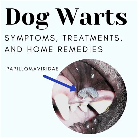 Do Dog Warts Grow