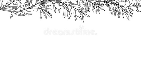 Horizontal Frame Border With Olive Branches And Fruits Hand Drawn