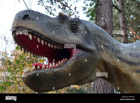 Albertosaurus Norteamericano Un Gran Dinosaurio Carnívoro De La época Del Cretáceo En Dinopark