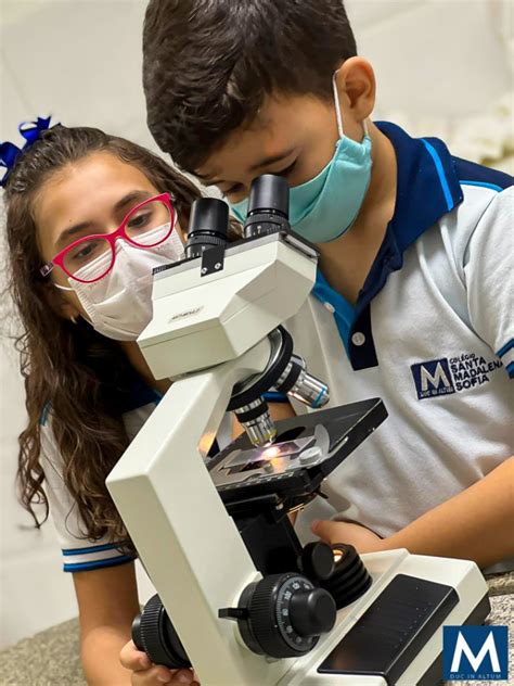 Colégio Santa Madalena Sofia Alunos Do 4º Ano Do Ensino Fundamental Aprendem Na Prática Sobre