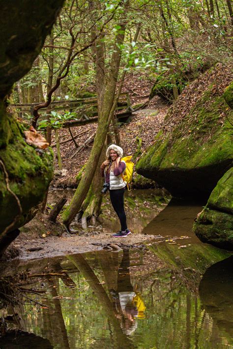 Dismals Canyon: Alabama's Most Unexpected Natural Treasure