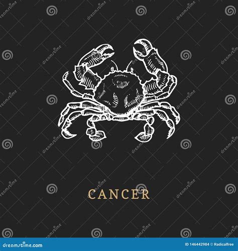 Cancer Zodiac Symbol Hand Drawn In Engraving Style Vector Graphic