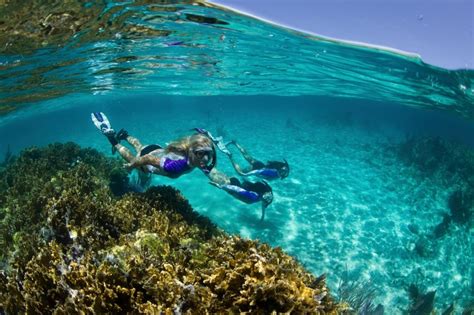 C Mo Hacer Snorkel Consejos Para Principiantes