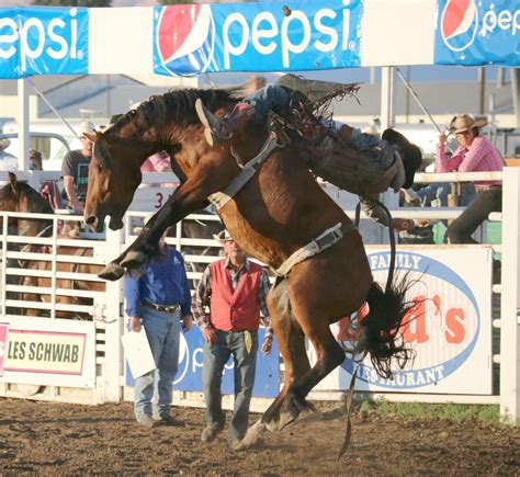 Toppenish Rodeo & Livestock Association (@ToppenishRodeo) / Twitter