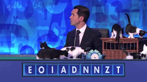 8 Out Of 10 Cats Does Countdown Real Cats Youtube