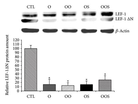 Western Blot Analysis Of Wnt Target Genes Protein Expression A Cd