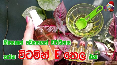 හිසකෙස් වේගයෙන් වර්ධනය කරන විටමින් E තෙල් එක Grow Hair Faster With This Vitamin E Oil Youtube