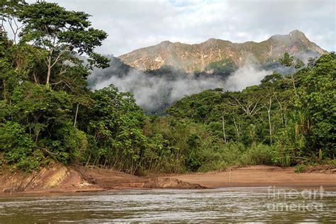 Green Rainforest Mountains In Clouds Photograph By Jekaterina Sahmanova