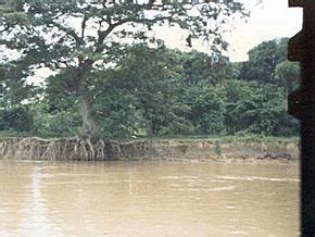 Apure River Facts for Kids