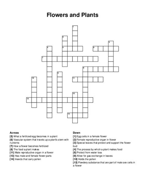 Flower Part Definitions Crossword Puzzle Answer Key Best Flower Site