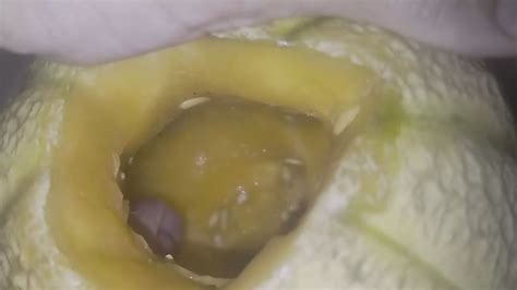 Melon Fuck Hungarian Gay Masturbation Masturbation Porn XHamster