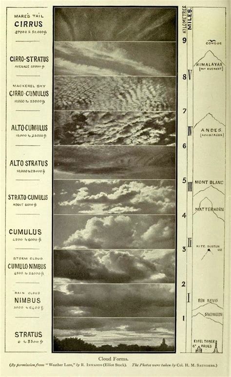 nemfrog - “Cloud forms.” Stratus clouds form at the altitude...