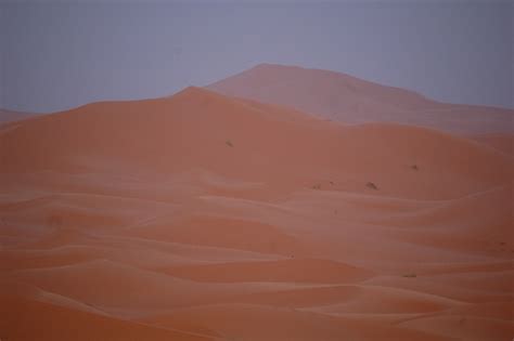 Cnddu Giornata Mondiale Per La Lotta Alla Desertificazione E Alla Siccit