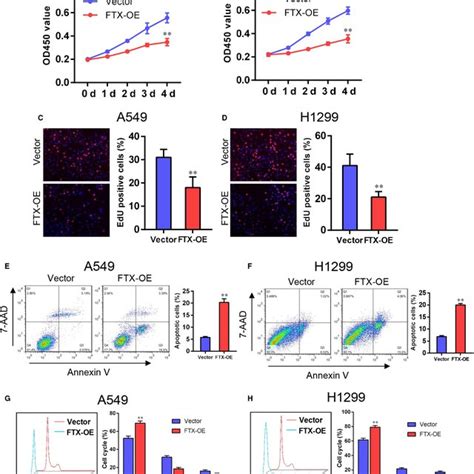 Ftx Inhibits Lung Cancer Cell Migration And Invasion In Vitro A B