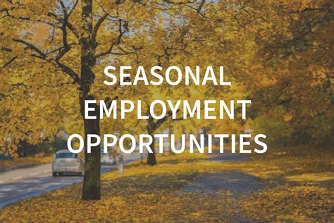 What Is A Seasonal Job at Jean Begaye blog