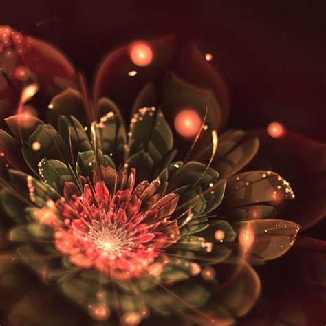 Incredibly Beautiful Fractal Flowers By Silvia Cordedda Design Swan