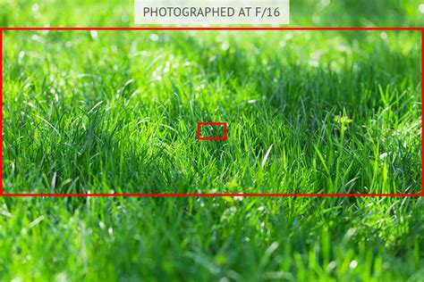 Aperture and Depth of Field – Focusing Basics