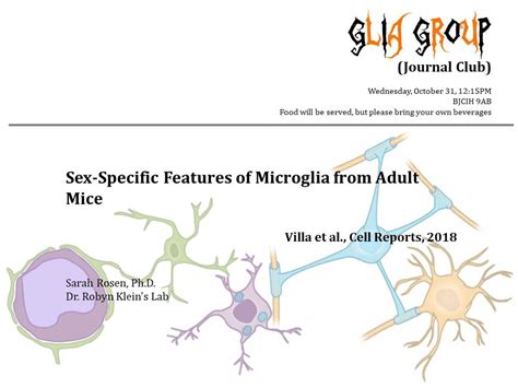 Glia Group Sarah Rosen Klein Lab Washu Medicine “sex Specific