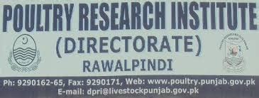 Junior Clerk Jobs In Rawalpindi At Poultry Research Institute On