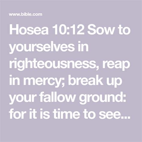 Hosea 1012 Sow To Yourselves In Righteousness Reap In Mercy Break Up