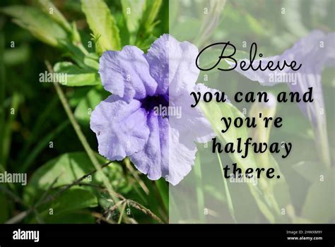 Motivational and Inspiration quote - Believe you can and you're halfway ...