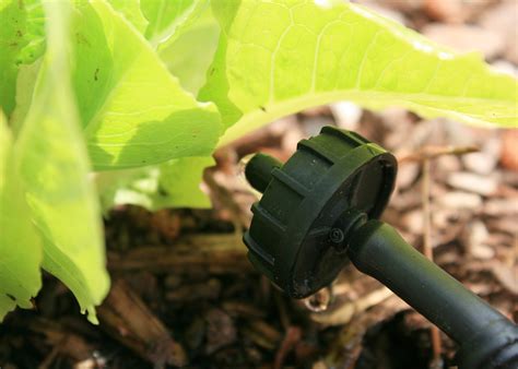 Micro Irrigation Keeps Plants Happy During Warm Summer Mississippi