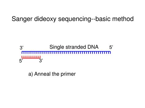 Ppt Dna Sequencing Methods Powerpoint Presentation Free Download