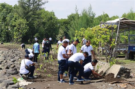 Peringati Hari Sampah Nasional Lanal Tegal Tanam Ribuan Pohon Mangrove