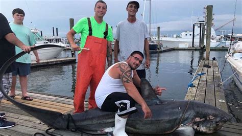 Njdotcom On Twitter Fishermen Catch 500 Pound Thresher Shark Off