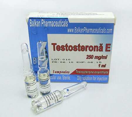 Sustanon 250 GM Pharmaceuticals 250mg X 10 Vials Steroid Cyclebank