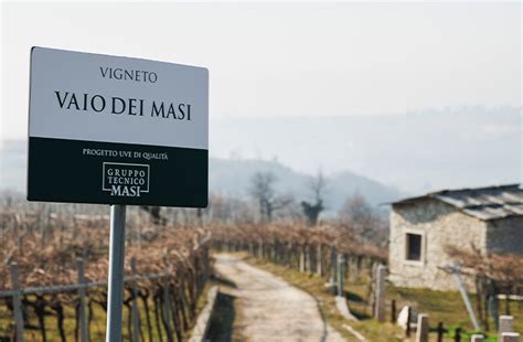 Masi Marks 250 Years of Winemaking History | Wine Enthusiast