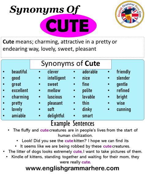 Synonyms Of Cute Cute Synonyms Words List Meaning And Example