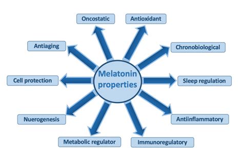 View Of The Preventive And Protective Role Of Melatonin In SARS CoV 2