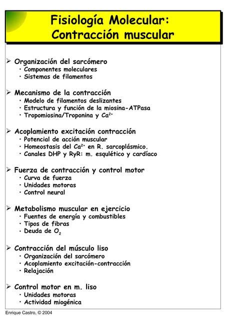 Fisiología Molecular Contracción Muscular Johana Gil uDocz