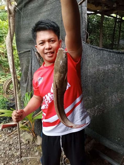 Ini Spot Terbaik Memancing Ikan Lele