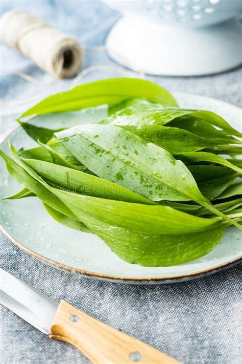 Folhas Verdes De Ramsons Alho Selvagem Em Prato Foto De Stock Imagem