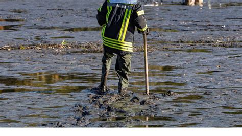 Zw Lfj Hrige Bleiben In Schlamm Stecken