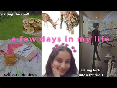 VLOG A Few Days In My Life Getting Back Into A Routine Visiting The